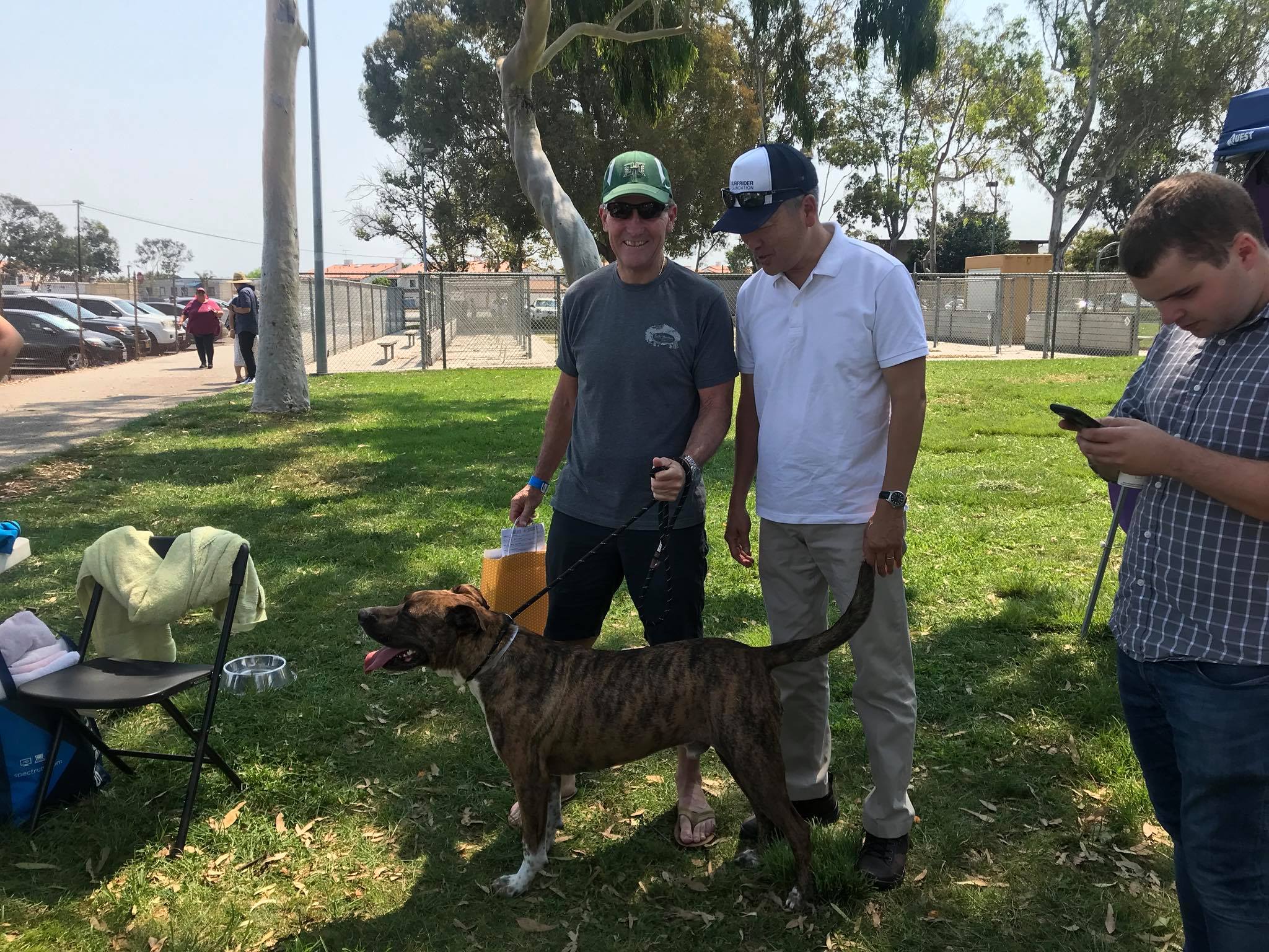 Second Annual Pet Adoption Fair Assemblymember Al Muratsuchi